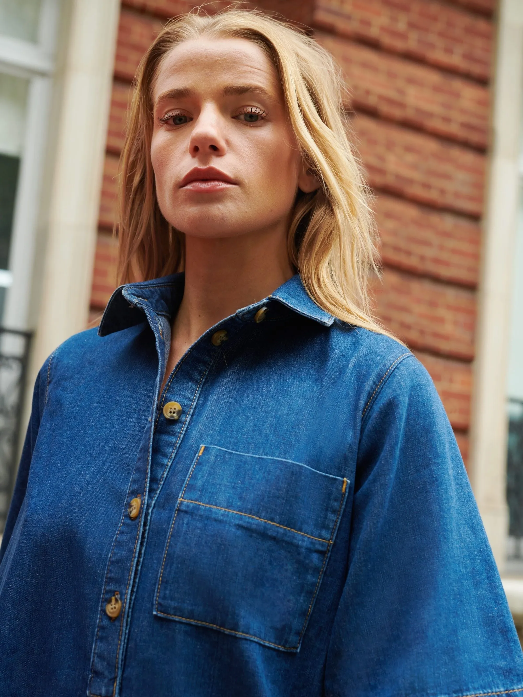 Denim Collared Dress